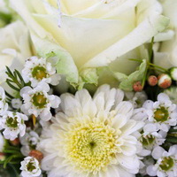 zum Vergrößern anklicken