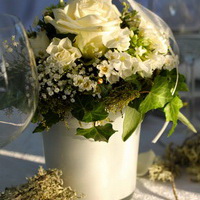 zum Vergrößern anklicken