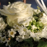 zum Vergrößern anklicken