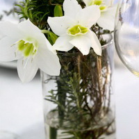 zum Vergrößern anklicken