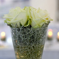 zum Vergrößern anklicken