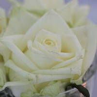 zum Vergrößern anklicken