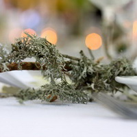 zum Vergrößern anklicken