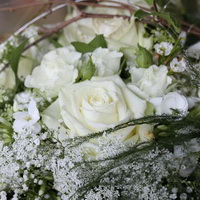 zum Vergrößern anklicken