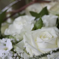 zum Vergrößern anklicken