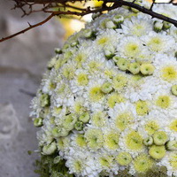 zum Vergrößern anklicken