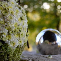 zum Vergrößern anklicken