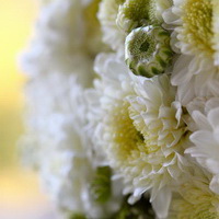 zum Vergrößern anklicken