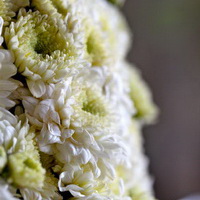 zum Vergrößern anklicken