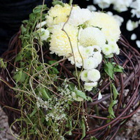 zum Vergrößern anklicken