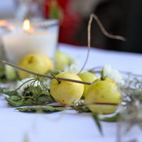 zum Vergrößern anklicken