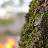 zum Vergrößern anklicken