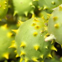 zum Vergrößern anklicken