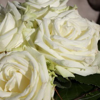 zum Vergrößern anklicken