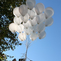 zum Vergrößern anklicken