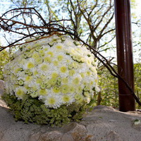 zum Vergrößern anklicken