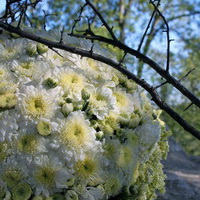 zum Vergrößern anklicken