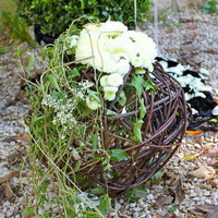 zum Vergrößern anklicken