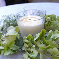 zum Vergrößern anklicken