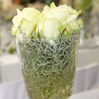 zum Vergrößern anklicken