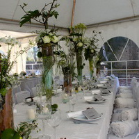 zum Vergrößern anklicken