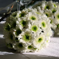 zum Vergrößern anklicken