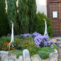 zum Vergrößern anklicken