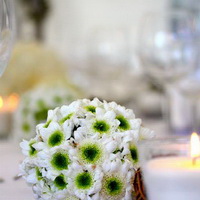 zum Vergrößern anklicken