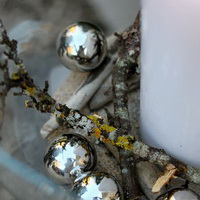 zum Vergrößern anklicken