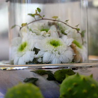 zum Vergrößern anklicken