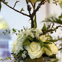 zum Vergrößern anklicken