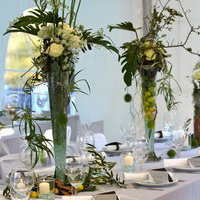 zum Vergrößern anklicken