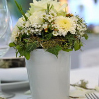 zum Vergrößern anklicken