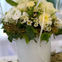 zum Vergrößern anklicken