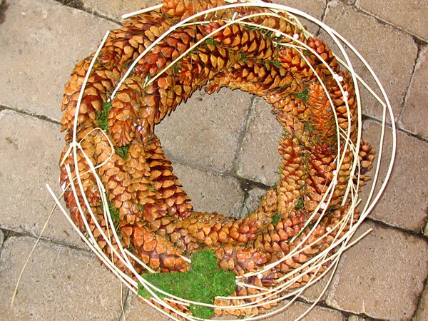 zum Vergrößern anklicken