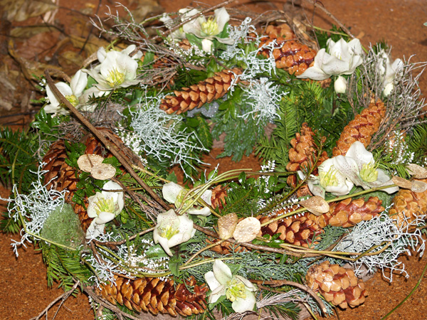 zum Vergrößern anklicken