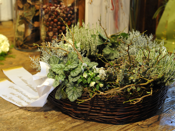 zum Vergrößern anklicken