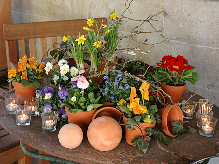 zum Vergrößern anklicken