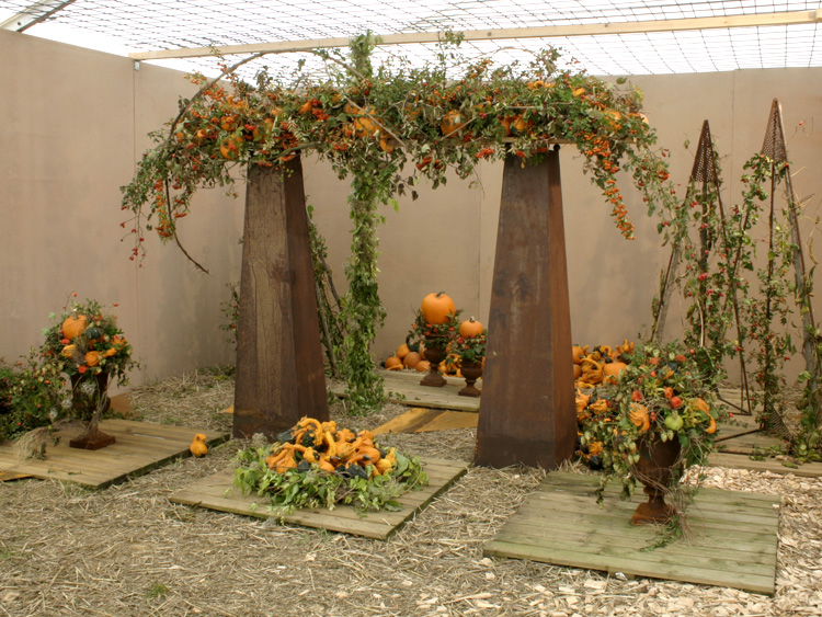 zum Vergrößern anklicken