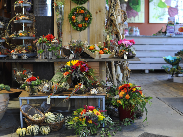 zum Vergrößern anklicken