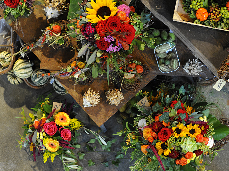 zum Vergrößern anklicken