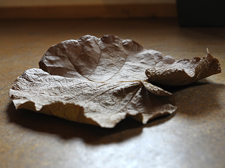 zum Vergrößern anklicken