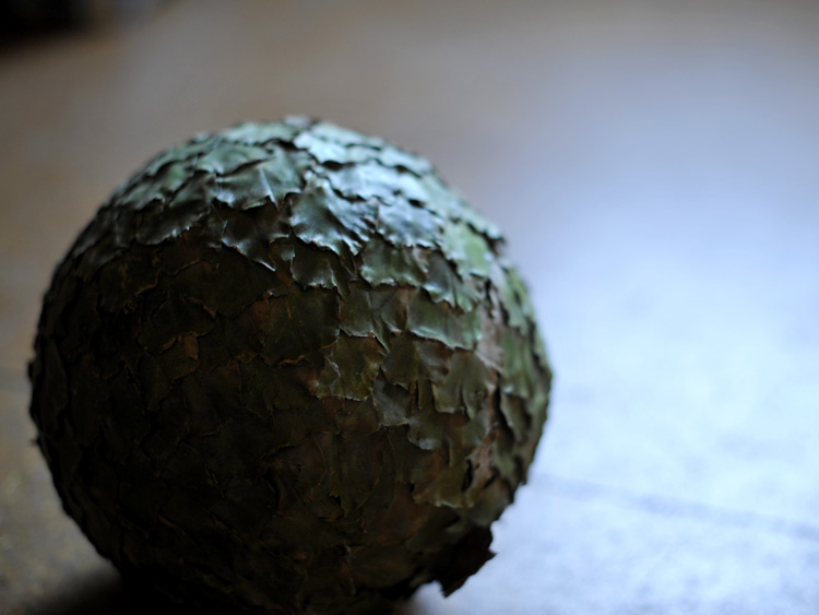 zum Vergrößern anklicken