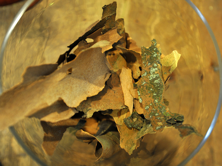 zum Vergrößern anklicken