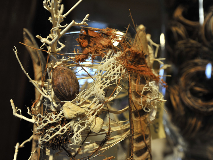 zum Vergrößern anklicken