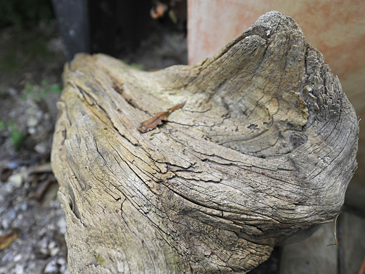 zum Vergrößern anklicken