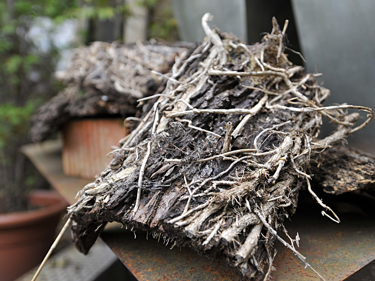 zum Vergrößern anklicken