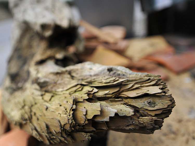 zum Vergrößern anklicken