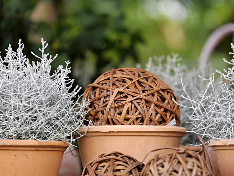 zum Vergrößern anklicken